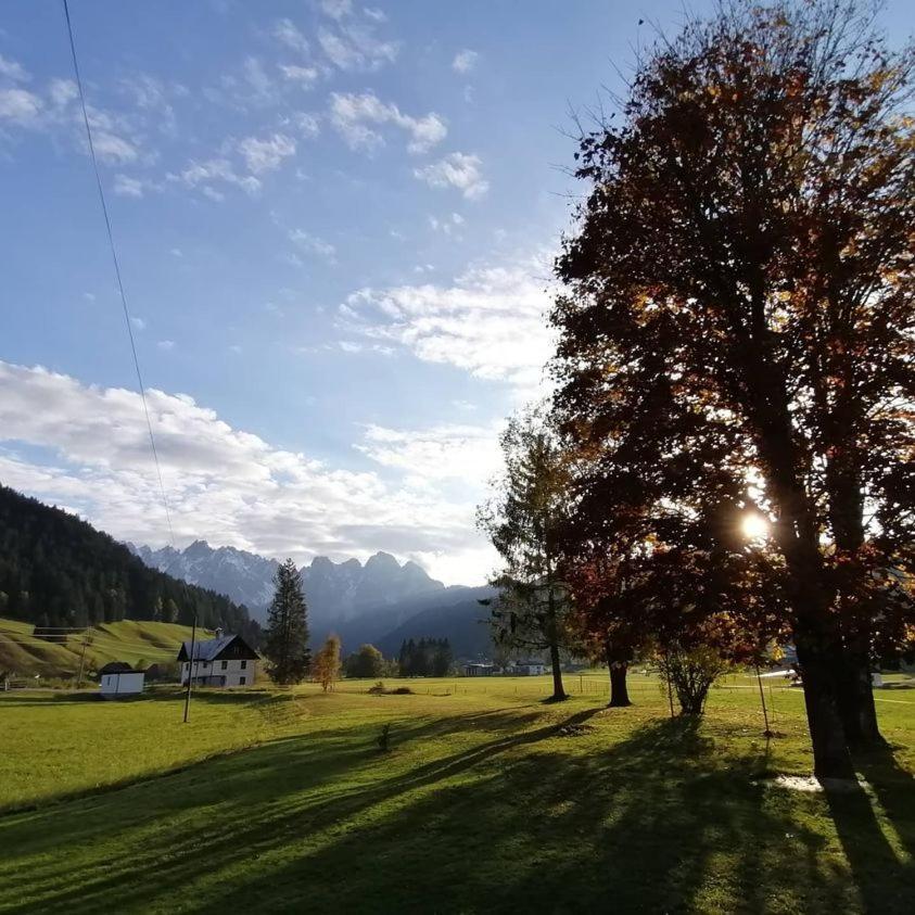 Appartement Haus Gruenwald à Gosau Extérieur photo