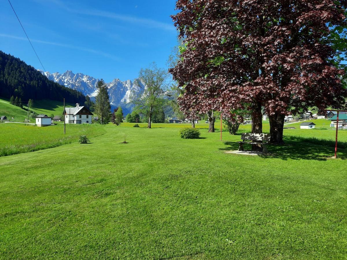 Appartement Haus Gruenwald à Gosau Extérieur photo