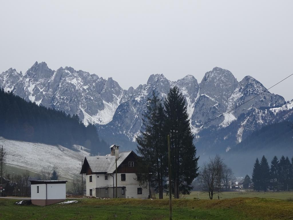 Appartement Haus Gruenwald à Gosau Extérieur photo