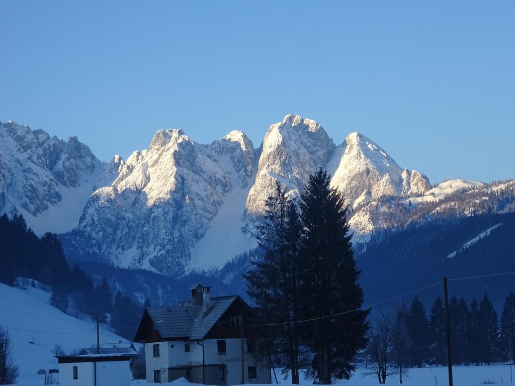 Appartement Haus Gruenwald à Gosau Extérieur photo