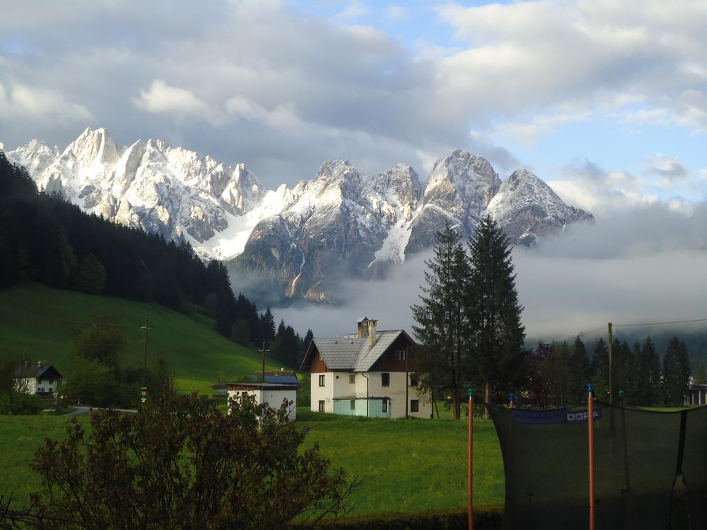 Appartement Haus Gruenwald à Gosau Extérieur photo
