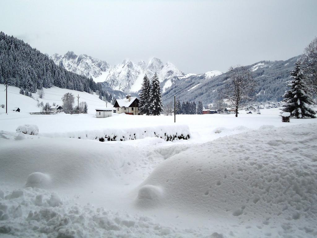 Appartement Haus Gruenwald à Gosau Extérieur photo